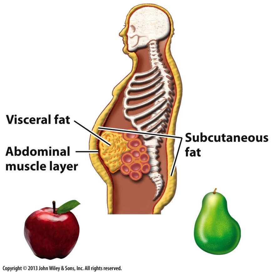 Skeleton-image